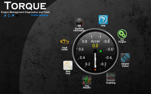 Torque Pro (OBD 2 & Car) 13