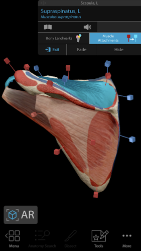 Human Anatomy Atlas 2020: Complete 3D Human Body 2